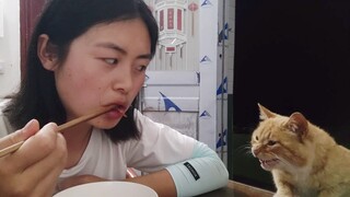 在农村，养猫和养狗的区别......