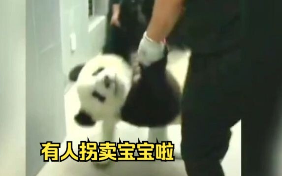 No wonder Meng Lan thinks she was trafficked here…