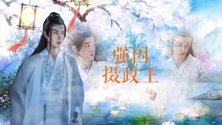 【忘羡】强囚摄政王（六）帝王湛X摄政王羡 强制宠 双洁 he 不虐