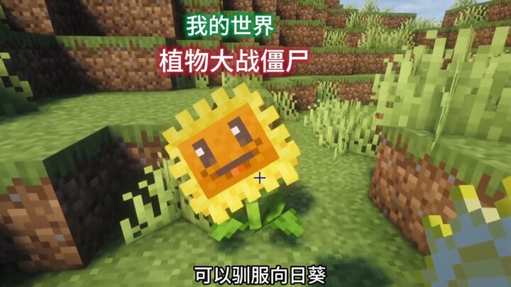 When Plants vs. Zombies Invades Minecraft