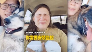 小姐姐家两条狗被毒死了，她知道是谁做的，但是又没有证据，于是警告大家一定要安装监控！