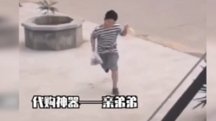 الإخوة الصغار الذين تحوّلوا إلى خدم في عيد الربيع 【طوال الفيديو طاقة عالية】