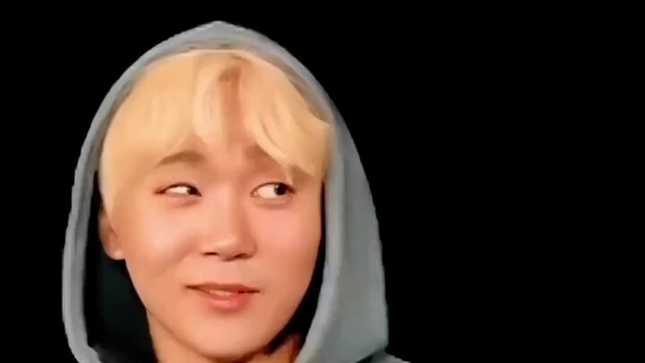 【SVT】Meme được các fan nước ngoài yêu thích