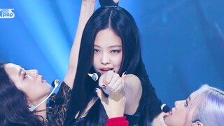 Con mèo rừng nhỏ gợi cảm ACE JENNIE giết người trực tuyến! 'Bạn thích điều đó như thế nào' (BLACKPIN