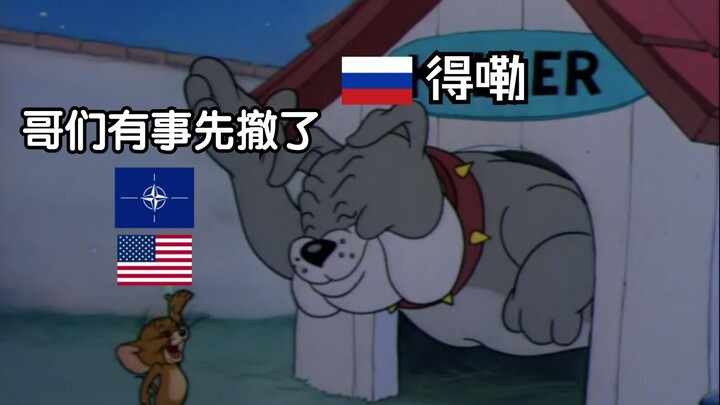 纪录片：猫和老鼠
