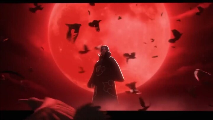 Chu Tước đại diện cho Uchiha Itachi, Bạch Hổ đại diện cho Konan — vậy mật danh của các thành viên Ak