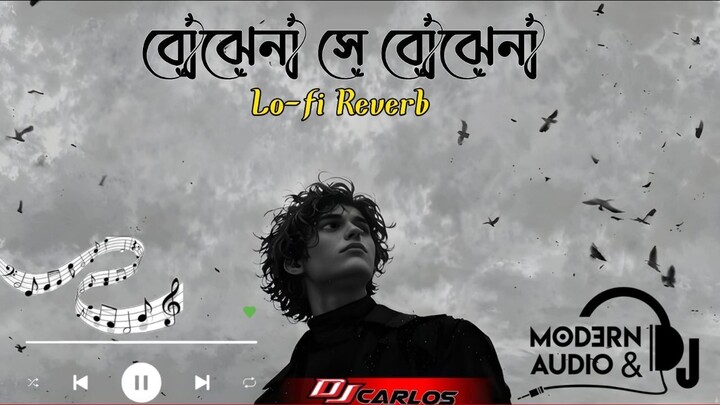 বোঝেনা সে বোঝেনা (Bojhena Shey Bojhena)