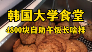 What does the 4,800 yuan buffet lunch at a Korean university cafeteria look like?