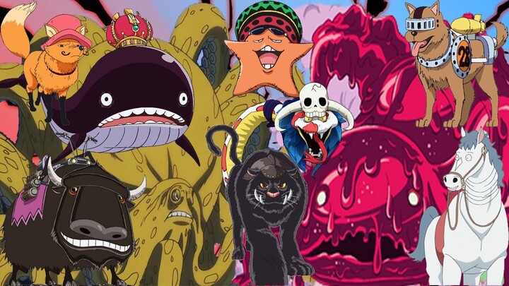 DAFTAR HEWAN PELIHARAAN DI DUNIA ONE PIECE!!? - TEORI ONE PIECE TERBARU - PART 2