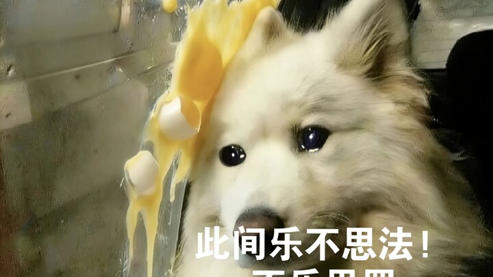 มาครง: ความรู้สึกอันสดชื่นและมีชีวิตชีวา ที่สรรพสิ่งแข่งกันผลิบานเช่นนี้ จะกลับมาอีกครั้งในฝรั่งเศสไ