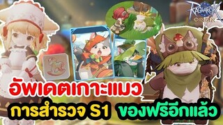 เกาะแมว เพิ่มการสำรวจ S1 ของฟรีเพียบ | Ragnarok Origin