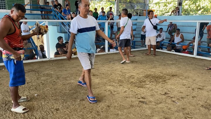 Thursday hack fight Hindi pinalad c Bulik sa pang 5 Xsam, nabulag