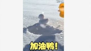 希望能给你带来好运鸭！