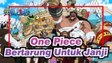 [One Piece] VS Doflamingo--- Bertarung Untuk Janji