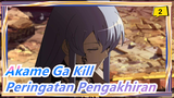 Akame Ga Kill | Mashup~Peringatan Pengakhiran_2