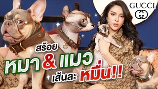 โชว์ของEp.31 สร้อยหมา & แมว เส้นละหมื่น!!! | Nisamanee.Nutt