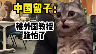 【มีมแมว】นักเรียนจีนที่ไปเรียนต่อต่างประเทศ: ฉันกลัวโดนอาจารย์ต่างชาติคุกเข่า...