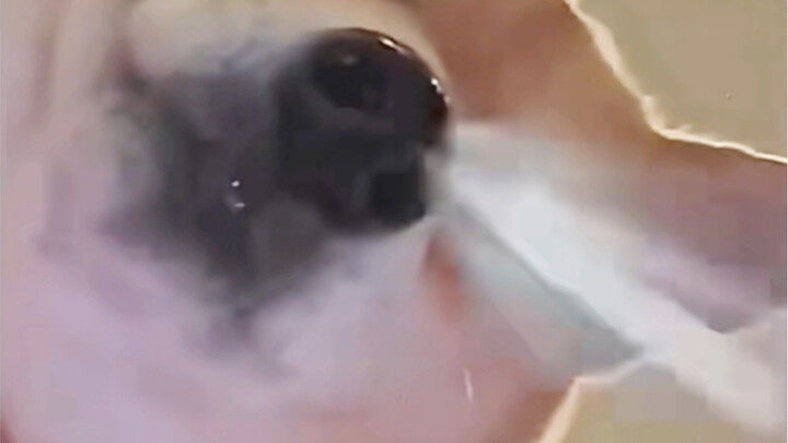 วันนี้กินอะไรดี? ไข่หนา~ ทอด~