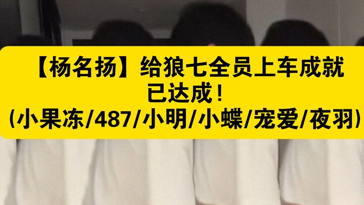【杨名扬】给狼七全员上车成就已达成!(小果冻/487/小明/小蝶/宠爱/夜羽)