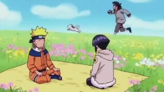 Naruto: Now I understand why Kishimoto always put Kiba next to him when arranging "Naruto and Hina"