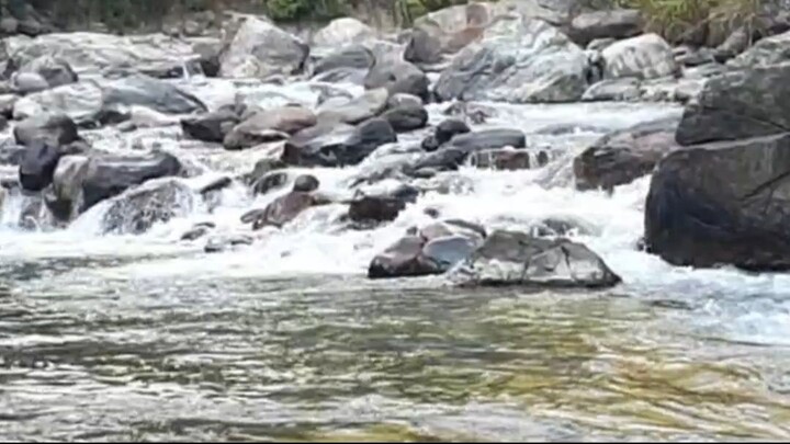 cast net fishing in Nepal | himalayan trout fishing with handmade cast net |