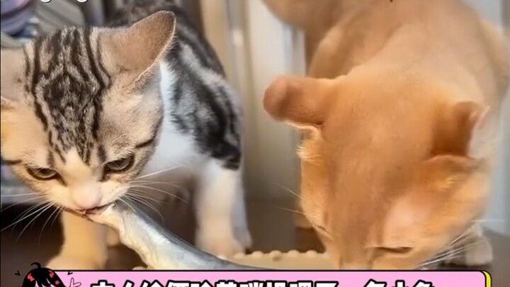 Lần này thì thực sự đã học được rồi