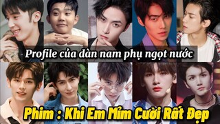 Tổng Hợp Thông Tin Dàn Nam Phụ Trong Phim 《 Khi Em Mỉm Cười Rất Đẹp 》