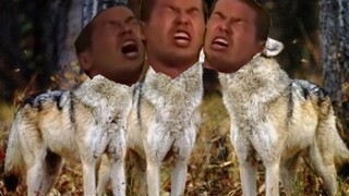 Wolf Culture