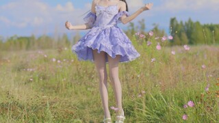 十月是属于格桑花的～