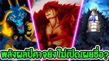 วันพีช  8 พลังผลปีศาจที่ไม่เปิดเผยชื่อ ! - OverReview