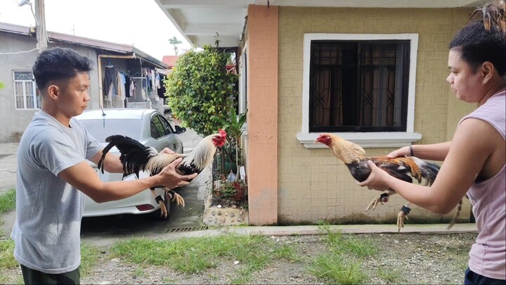 El Gamma Grey VS. Immortal Bulik...