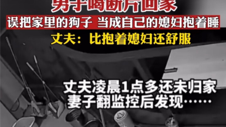 หนุ่มเมาจนจำไม่ได้กลับบ้าน ดันกอดหมาในบ้านแทนเมียหลับไป ผัวบอก: ฟินกว่ากอดเมียอีก!