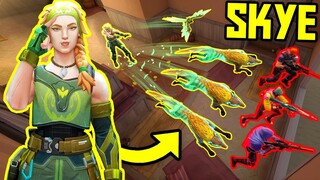 THE POWER OF SKYE - Best Tricks & 200 IQ Plays - VALORANT