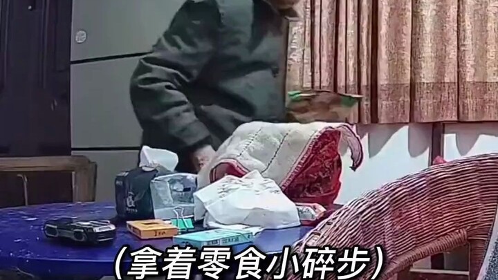 Family members installed a surveillance camera at grandma's home, capturing her leisurely and fulfil
