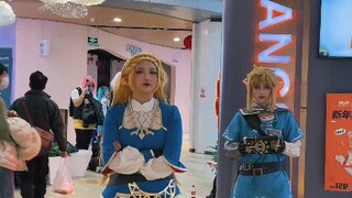 困了100年的塞尔达为林克跳了大貔貅