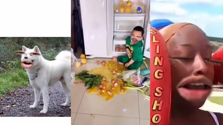 [TIK TOK] TỔNG HỢP TREND NHÂN VẬT BIẾT NÓI CƯỜI LỘN RUỘT 🤣#4