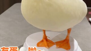 Đã đến lúc đẻ trứng rồi ~ Bạn còn yêu một chú vịt con ồn ào như vậy không?