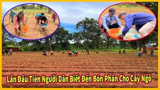 Bản São Pedro Tập 8 | Lần Đầu Tiên Người Dân Biết Đến Tác Dụng Từ Bón Phân Có Hiệu Quả Như Thế Nào ?