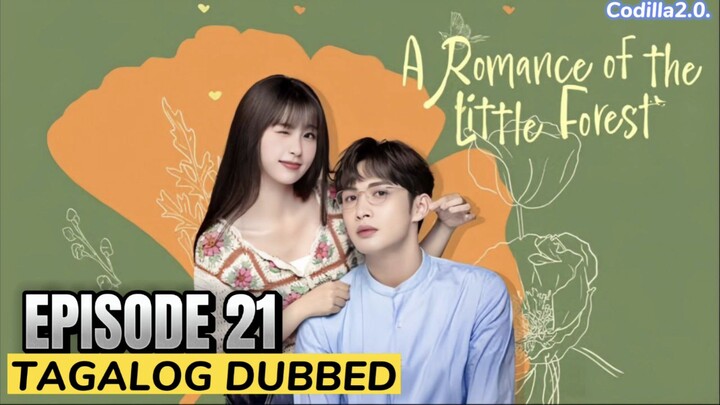 A Romance of the Little Forest 2022 Episode 21 Tagalog Dubbed