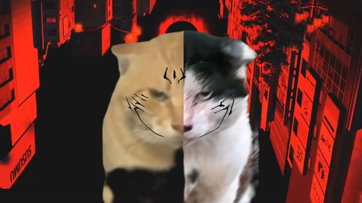 🐱Chết mệt hồi du-aizo🐱