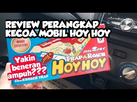 REVIEW PERANGKAP KECOA MOBIL | TRAP A ROACH HOY HOY | 2022