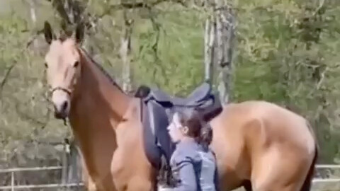 Horse: Hey, do I look like I’m doing it right?