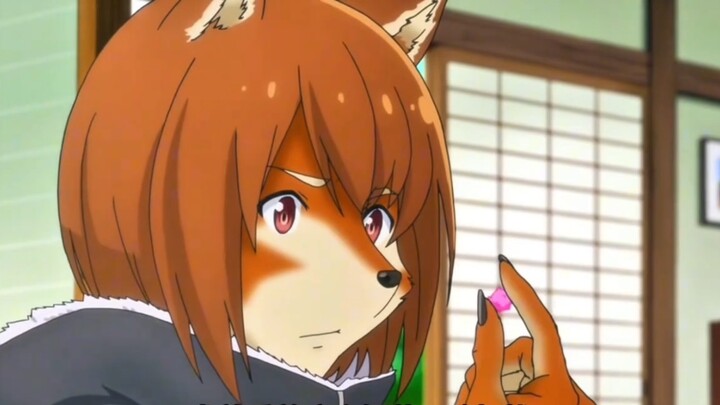 Little fox sister!