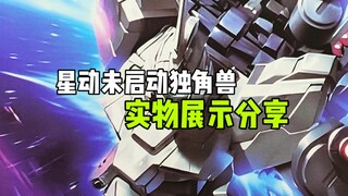 〖星动〗未启动全装备独角兽实物展示分享