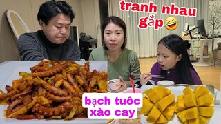 BẠCH TUỘC XÀO CAY HÀN QUỐC. CẢ NHÀ MÊ. XOÀI CHÍN FERU