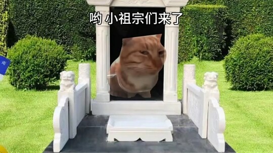 Hiện trạng cúng tổ của thế hệ 00 #meme_mèo #kịch_nhỏ_meme_mèo #hài_hước #nội_dung_quá_thực_tế