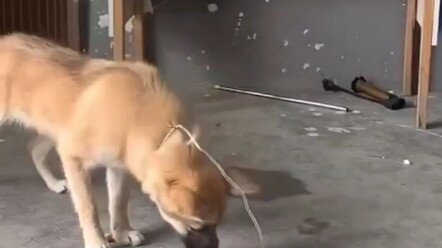 Hilarious! It’s no challenge at all!