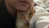 [Mèo cưng] Một nhà hai người cùng ngủ ấm cúng