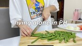 living alone in the Philippines | Work from Home Vlog | Cooking Vlog| Homebodys Vlog |WATCH IN 1080P