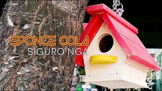 Sponge Cola -- Siguro Nga [OFFICIAL LYRIC VIDEO]